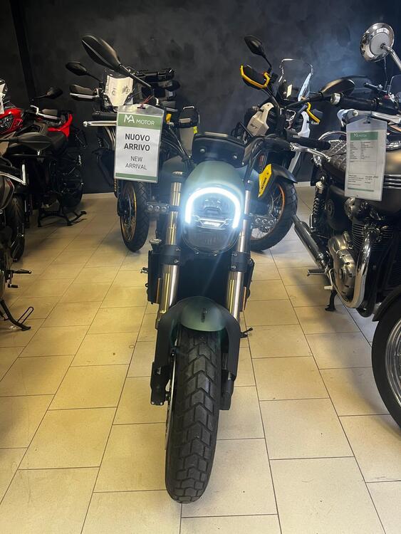 Benelli Leoncino 800 (2022 - 24) (4)