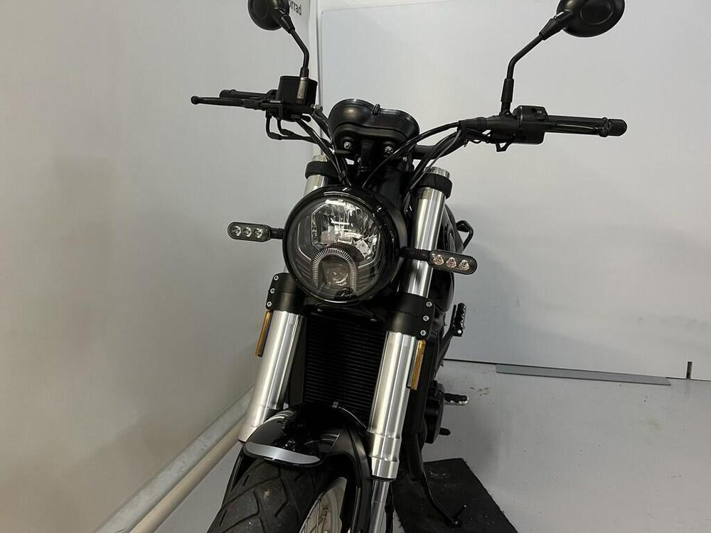 Benelli Leoncino 500 Trail (2021 - 24) (5)