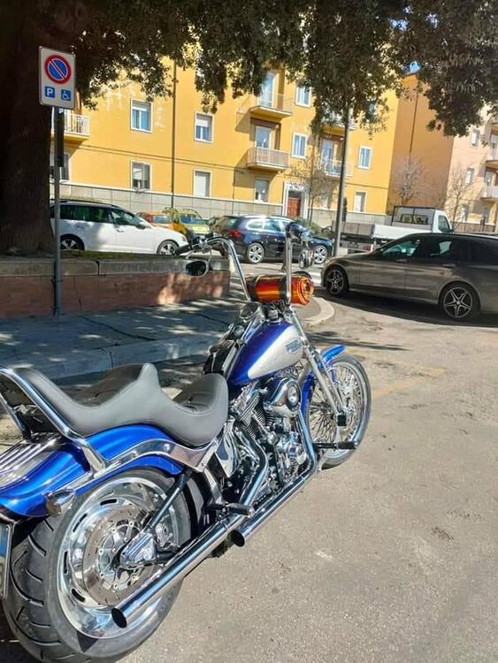 Harley-Davidson 1584 Custom (2007) - FXSTC (5)