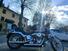 Harley-Davidson 1584 Custom (2007) - FXSTC (16)