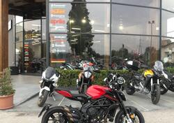 MV Agusta Brutale 800 Rosso (2021 - 23) usata