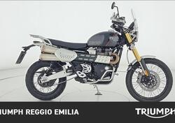 Triumph Scrambler 1200 XE (2024) usata