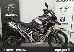 Triumph Tiger 1200 Rally Explorer (2024) nuova