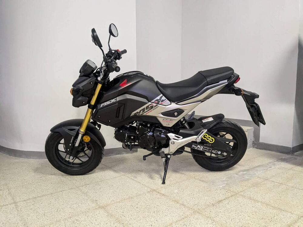 Honda MSX 125 (2018 - 20) (2)