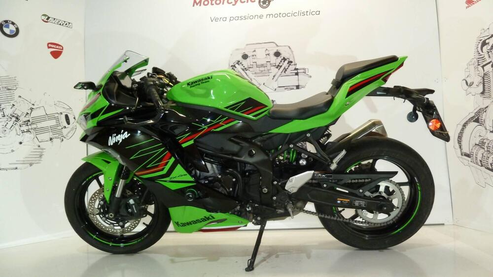 Kawasaki Ninja ZX-4RR (2024 - 25) (2)