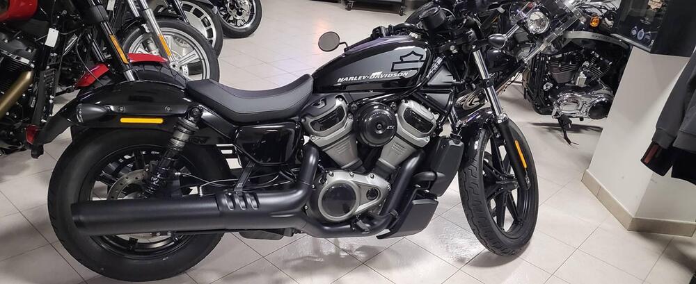 Harley-Davidson Nightster (2023 - 24)