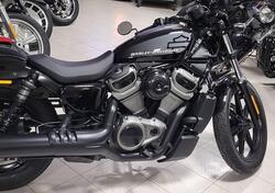 Harley-Davidson Nightster (2023 - 24) usata