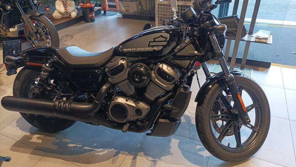 Harley-Davidson Nightster (2023 - 24) (3)