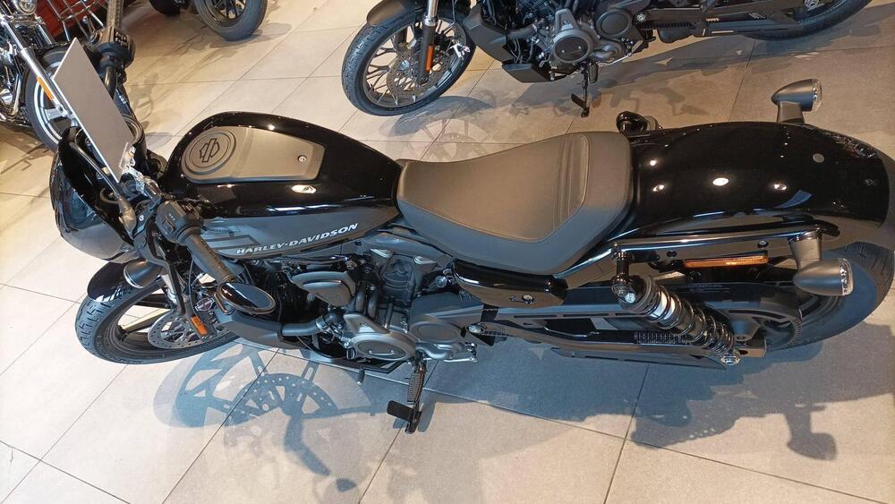 Harley-Davidson Nightster (2023 - 24) (4)