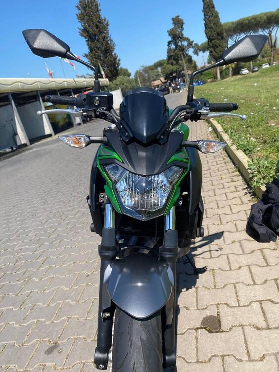 Kawasaki Z 650 (2017 - 19) (4)