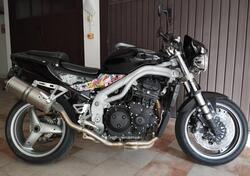 Triumph Speed Triple 955 (2002 - 04) usata