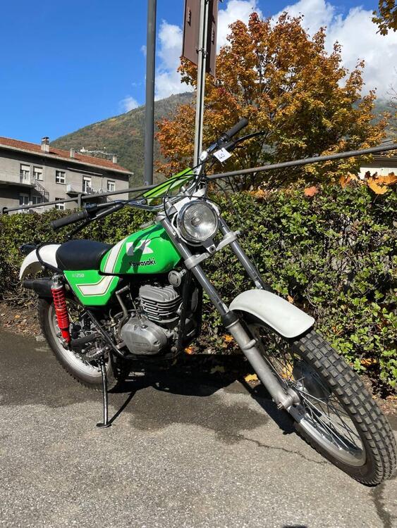 Kawasaki KT 250 (2)