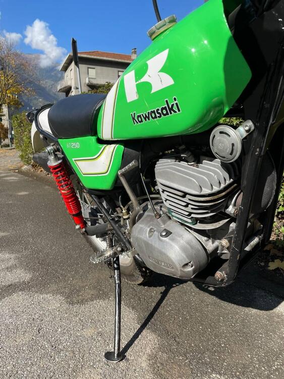 Kawasaki KT 250 (3)