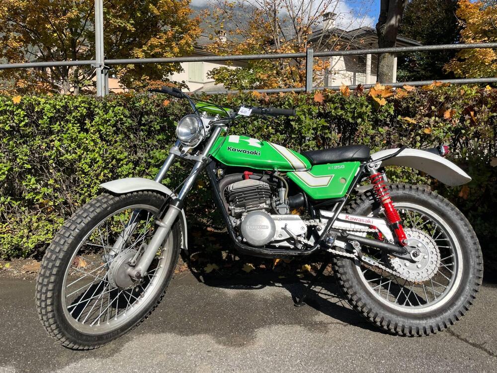 Kawasaki KT 250 (4)