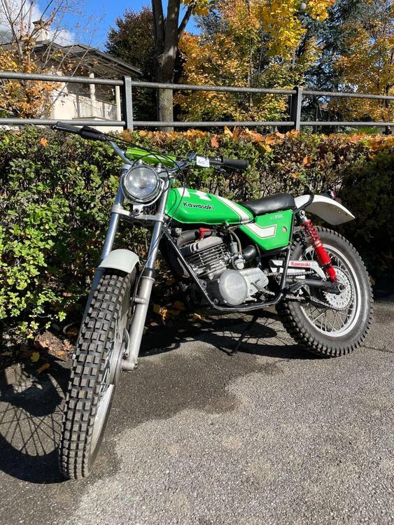 Kawasaki KT 250 (5)