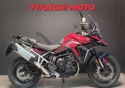 Triumph Tiger 900 GT Pro (2024) usata