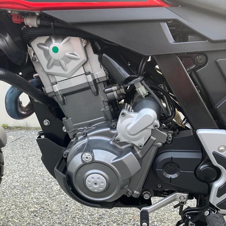 Aprilia Pegaso 650 Trail (2006 - 11) (4)