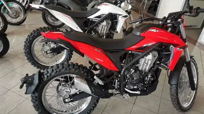 Betamotor Alp 4.0 (2024 - 26) nuova