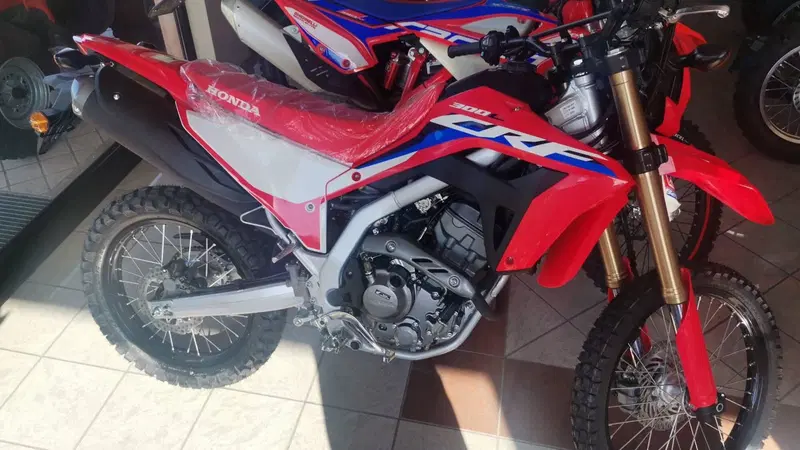 Honda CRF 300L (2021 - 24)