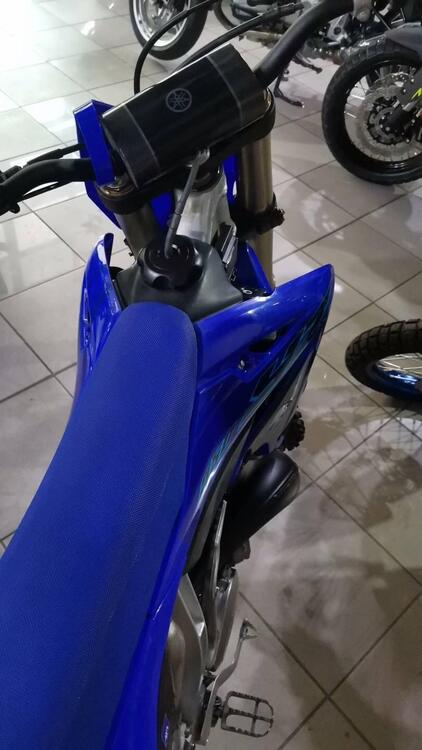 Yamaha YZ 250 (2024) (5)