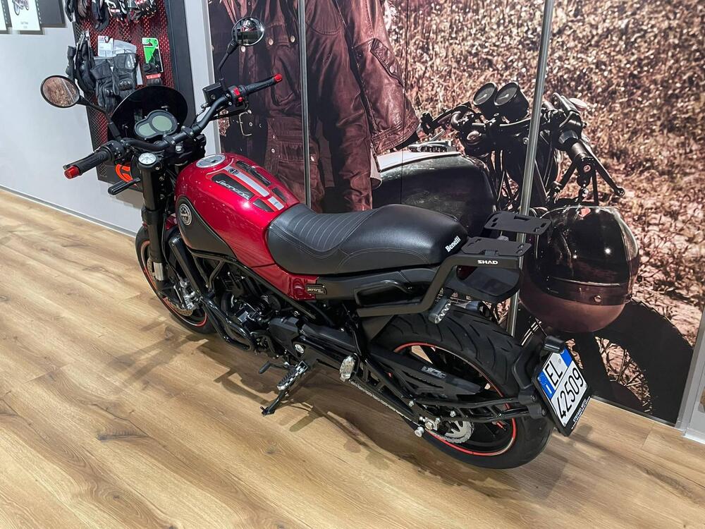 Benelli Leoncino 500 ABS (2017 - 20) (5)