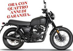 Brixton Motorcycles Felsberg 125 ABS (2021 - 24) nuova