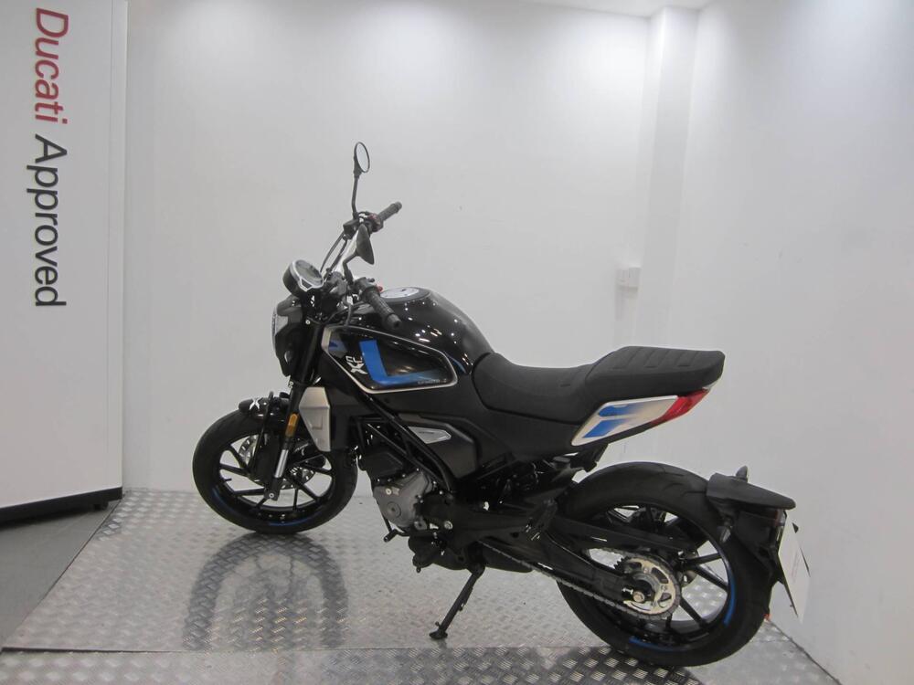 CFMOTO 300CL-X Heritage (2023 - 24) (3)