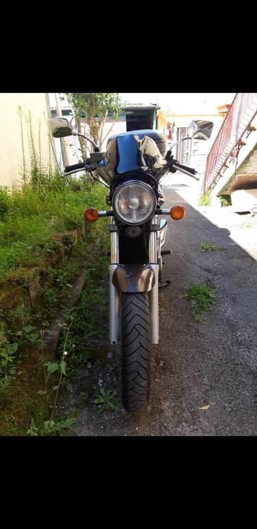 Suzuki VX800 (4)