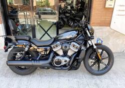 Harley-Davidson Nightster Special (2023 - 24) usata