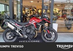 Triumph Tiger 900 GT Pro (2024) usata