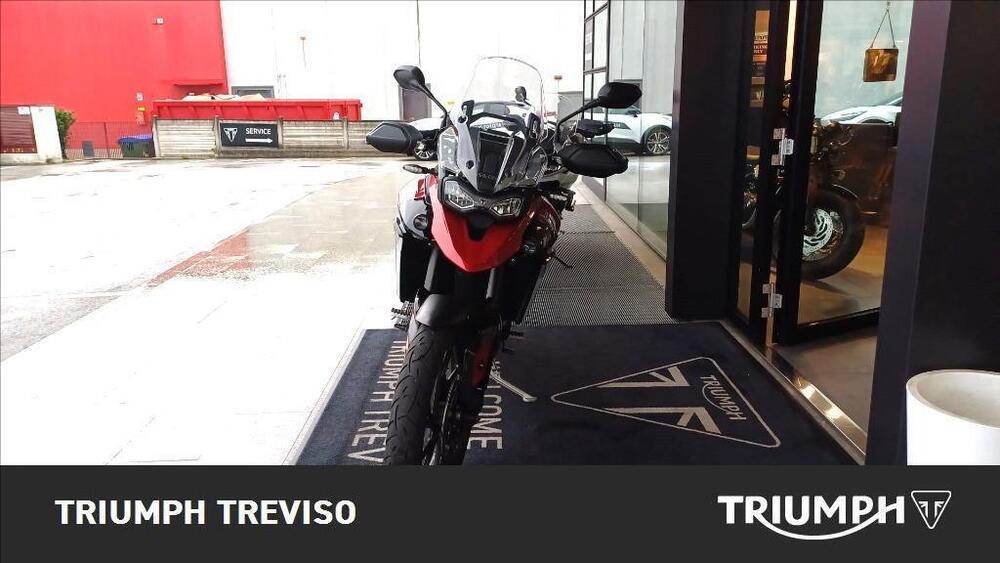 Triumph Tiger 900 GT Pro (2024) (3)