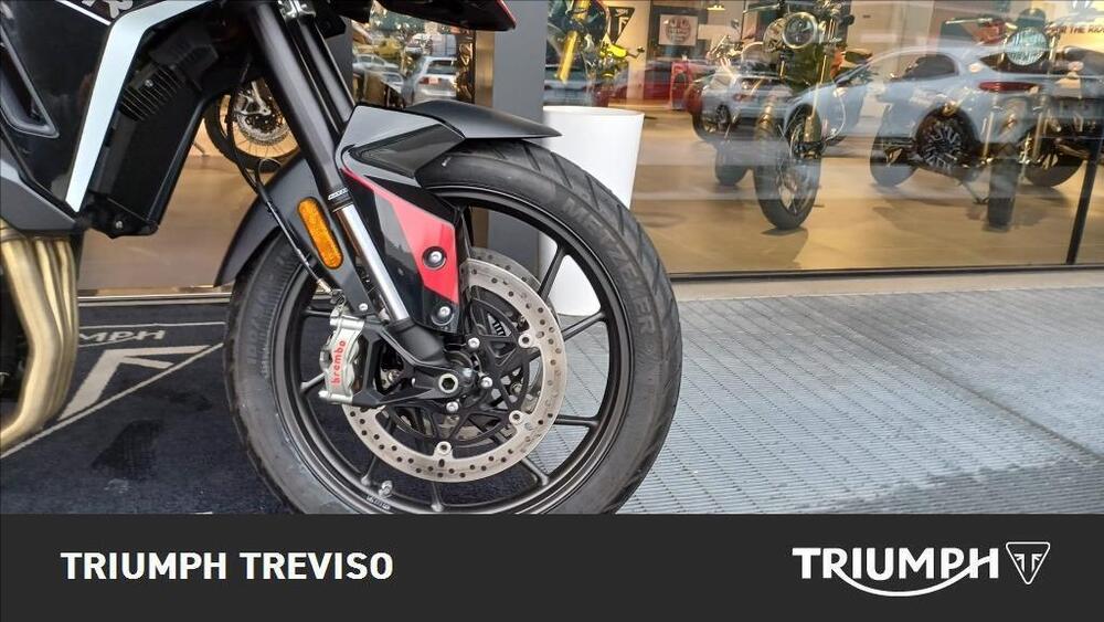 Triumph Tiger 900 GT Pro (2024) (5)