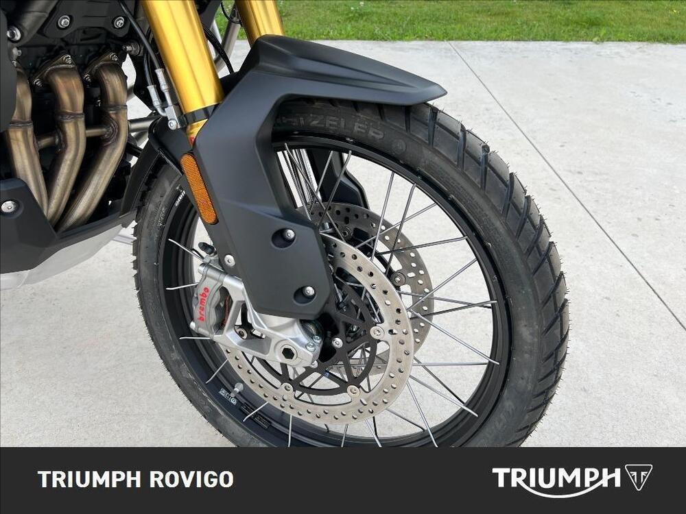 Triumph Tiger 1200 Rally Explorer (2022 - 23) (4)