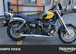 Triumph Speedmaster (2003 - 05) usata