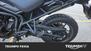 Triumph Tiger 800 ABS (2010 - 14) (16)