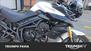 Triumph Tiger 800 ABS (2010 - 14) (21)