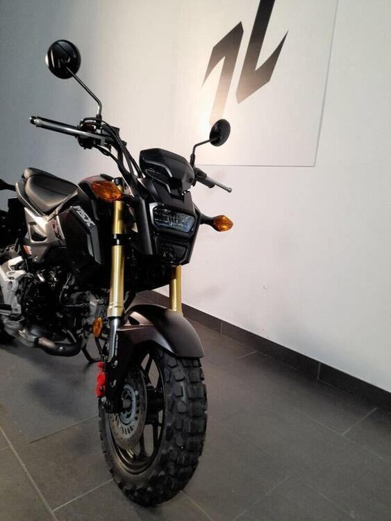 Honda MSX 125 (2018 - 20) (2)