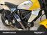 Ducati Scrambler 800 Icon (2023 - 24) (7)