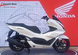 Honda PCX 125 (2021 - 24) nuova