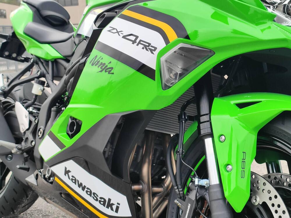 Kawasaki Ninja ZX-4RR (2024 - 25) (5)