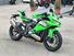 Kawasaki Ninja ZX-4RR (2024 - 25) (6)