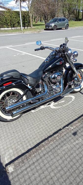 Harley-Davidson 1584 Deluxe (2007 - 08) - FLSTN (2)