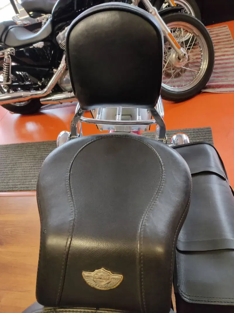 Harley-Davidson Fat Boy anniversario 100 anni bi-color argento e nero (5)