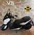 Yamaha X-Max 300 ABS (2017 - 20) (6)