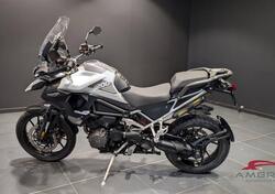 Triumph Tiger 1200 GT Pro (2022 - 23) usata