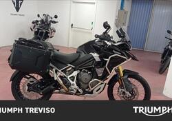 Triumph Tiger 1200 Rally Explorer (2022 - 23) usata