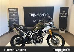 Triumph Tiger 900 Rally Pro (2020 - 23) usata