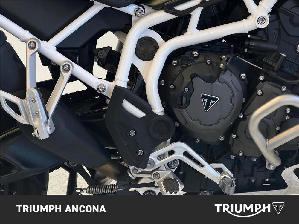 Triumph Tiger 900 Rally Pro (2020 - 23) (2)