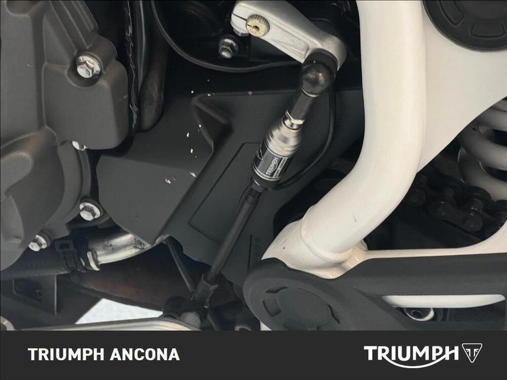 Triumph Tiger 900 Rally Pro (2020 - 23) (4)