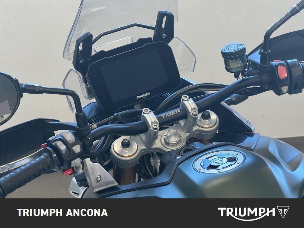 Triumph Tiger 900 Rally Pro (2020 - 23) (3)